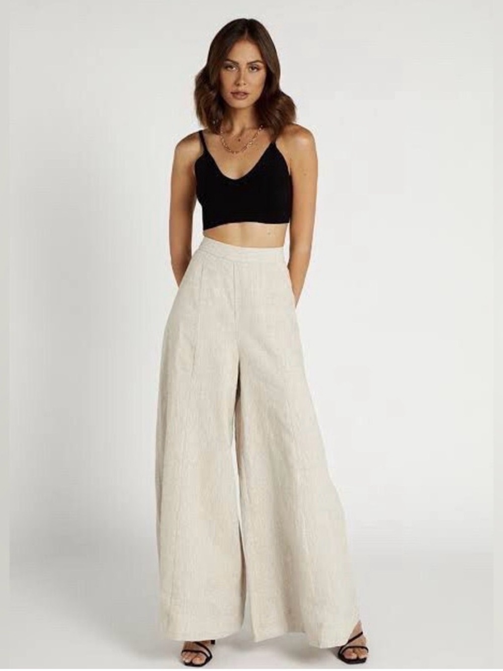 Dissh Wide Leg High-Waist Linen Blend Pants in Beige